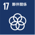 SDG 17