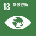 SDG 13