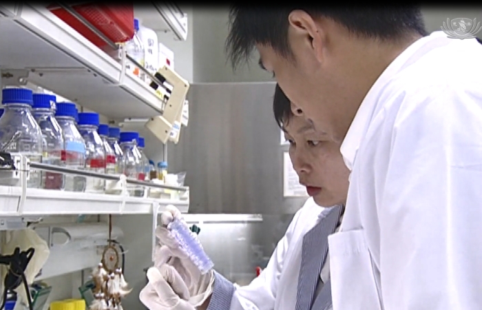 慈濟大學在短短兩個月,製作出雙抗體檢測試劑,準確度與靈敏度超過九成。(擷取自大愛新聞畫面)
